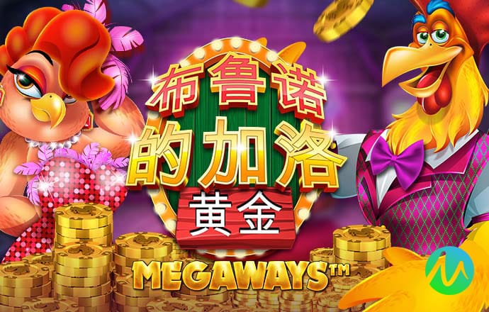 金年华体育平台官网入口